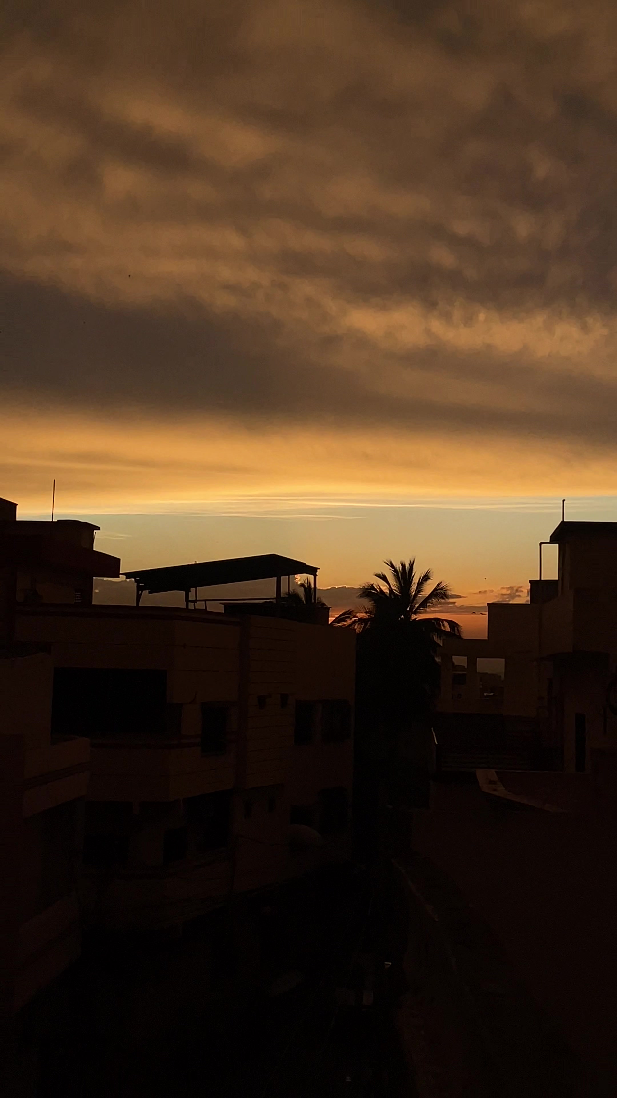 @Sadia🕊️
