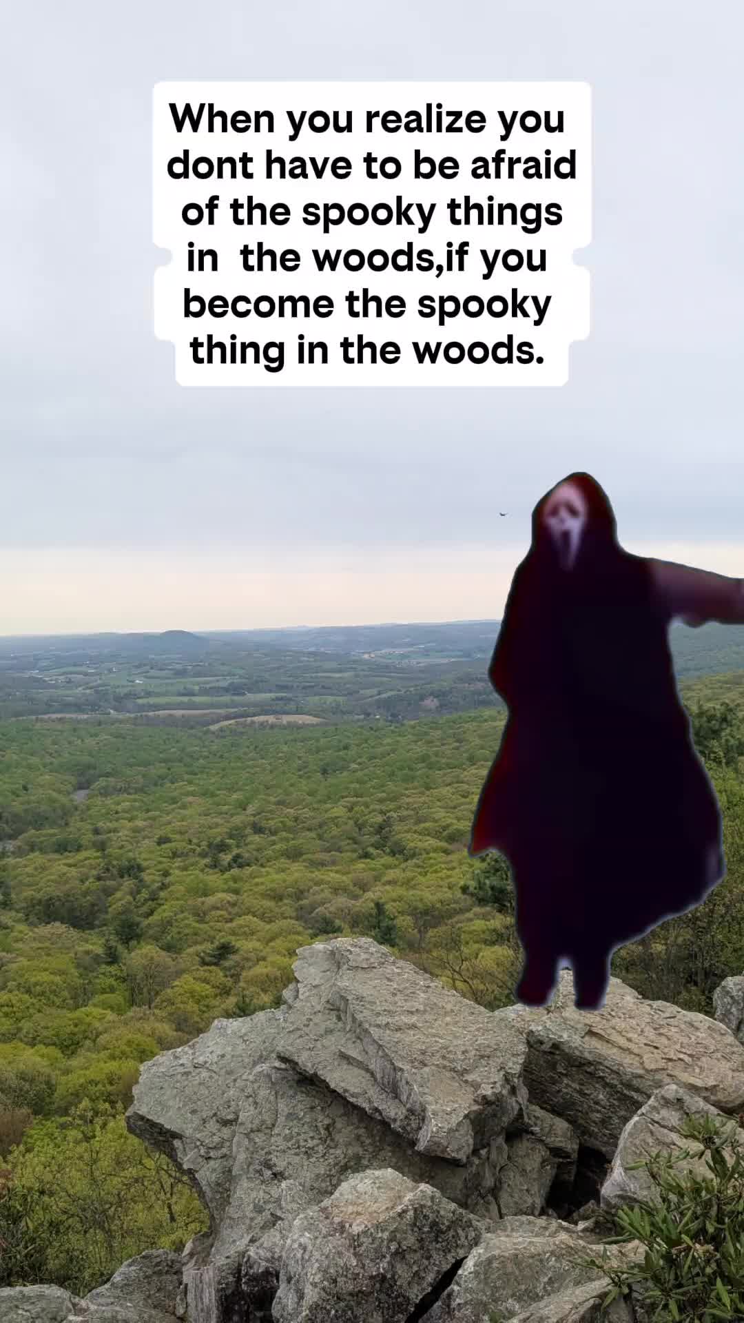 @Forrest of the Memes