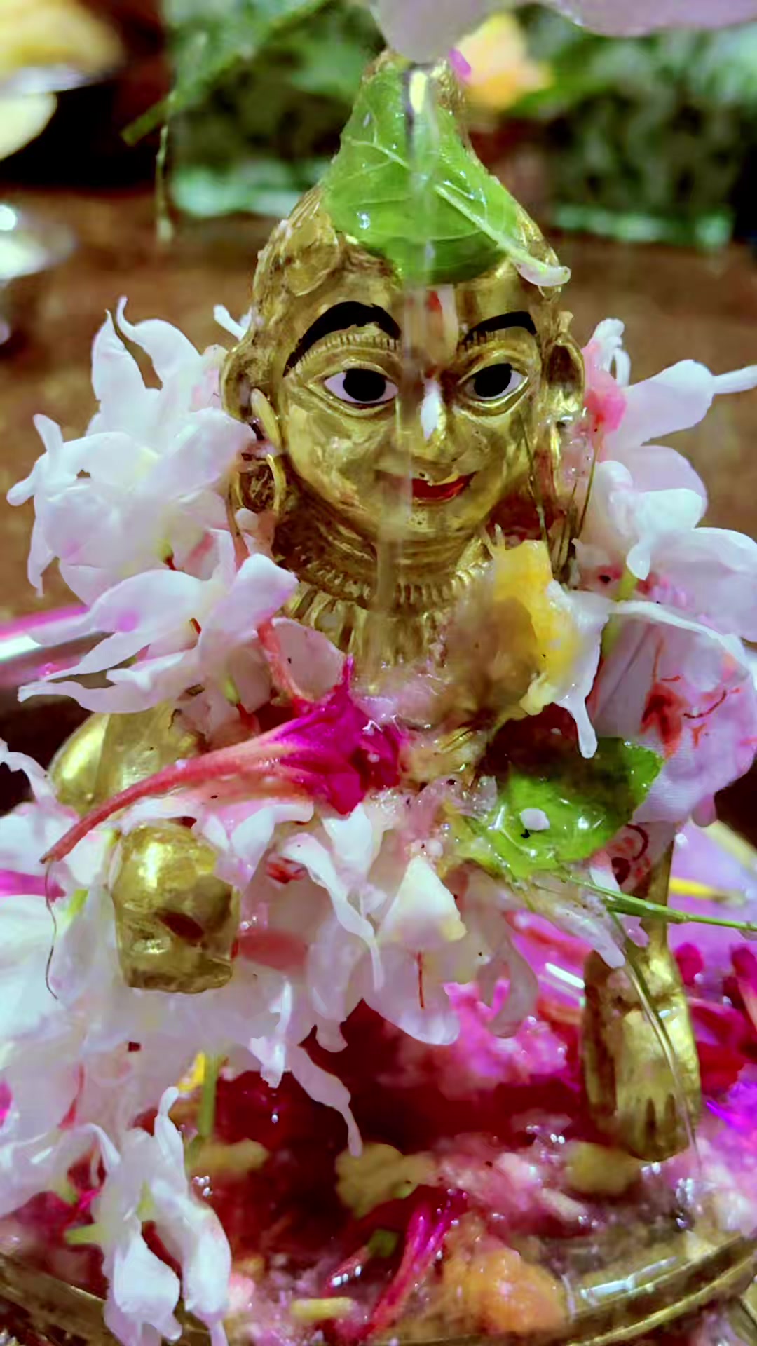@đ§đŠprema Roy Pujađ¸đŦđ˛đž