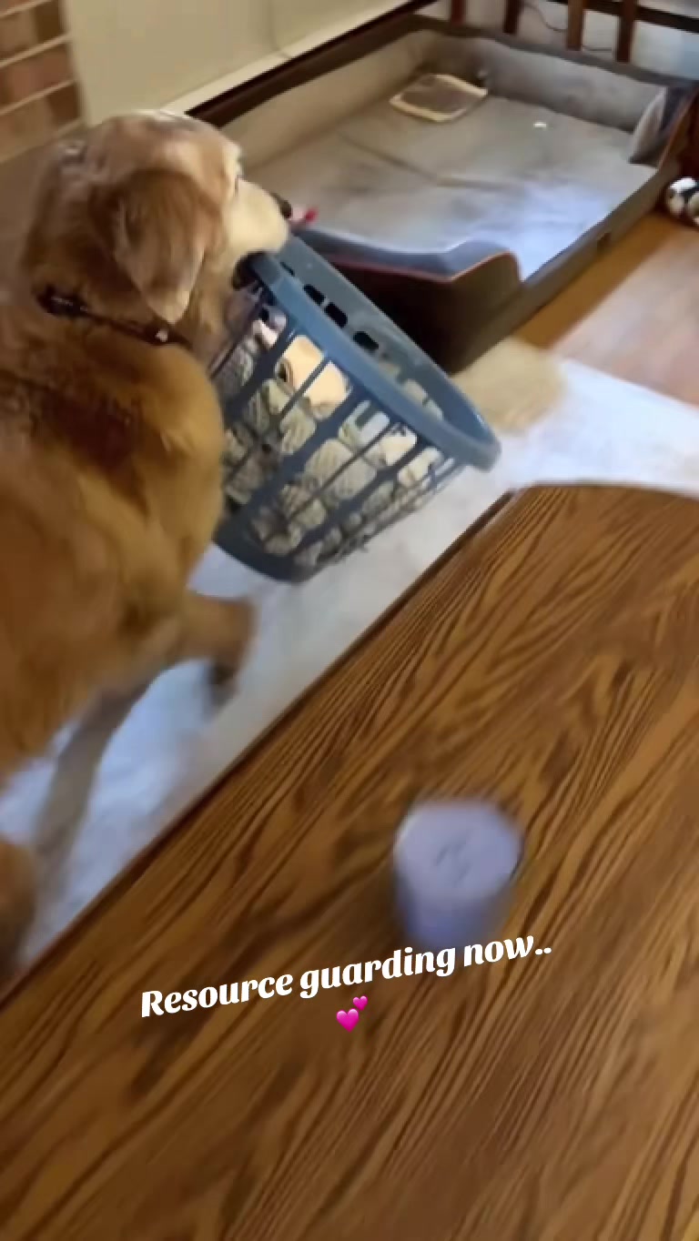 @lifewithduke2025