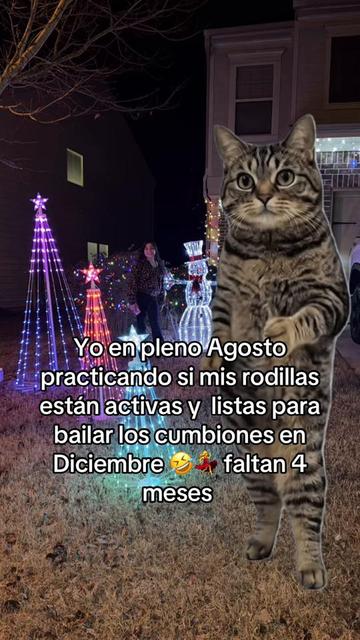 @🍀Anita/bonita🩷💙🌈