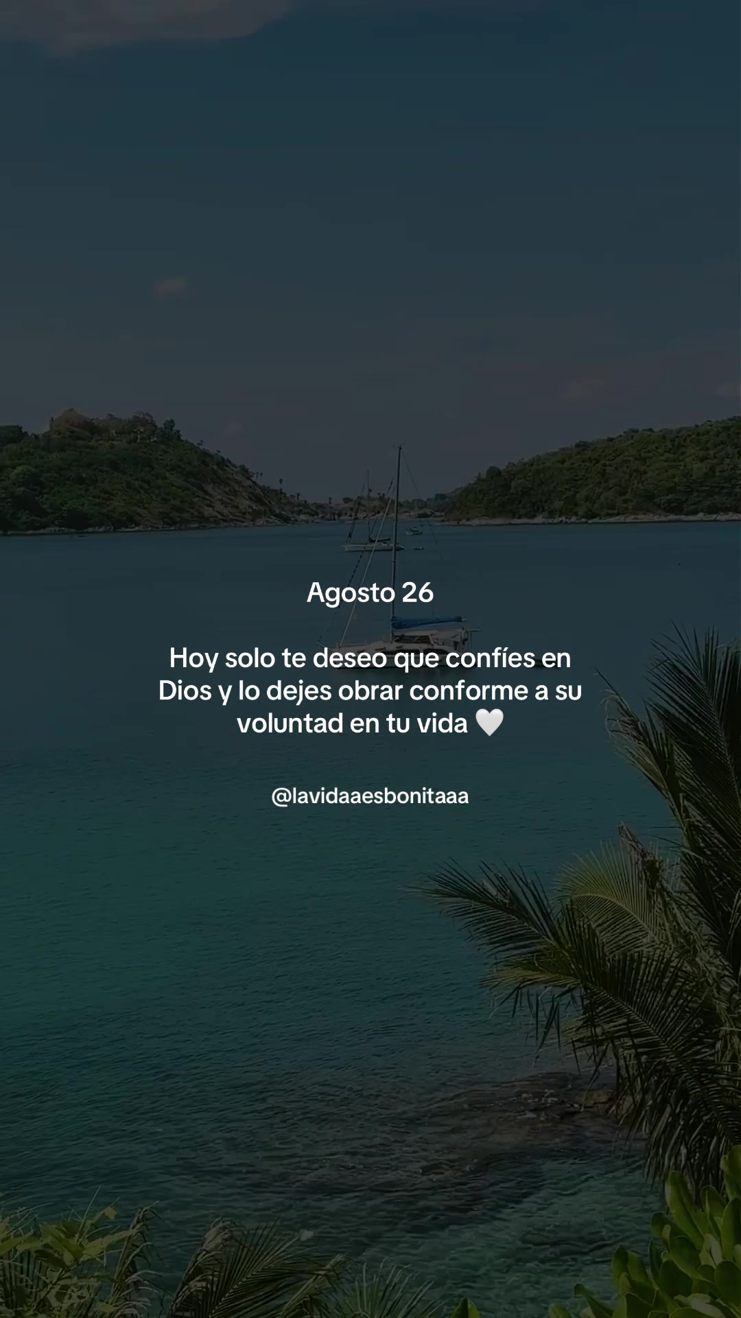@vidabonita❤️🩹