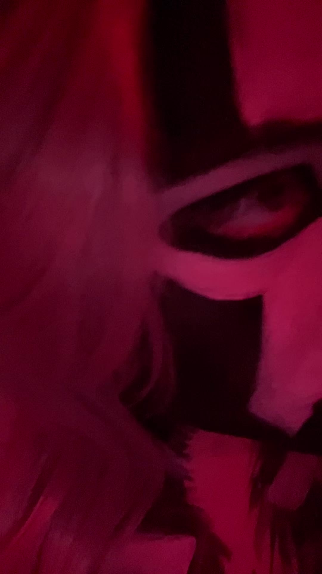 @lex🦊