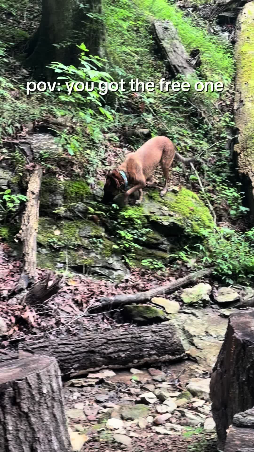 @driven.k9s
