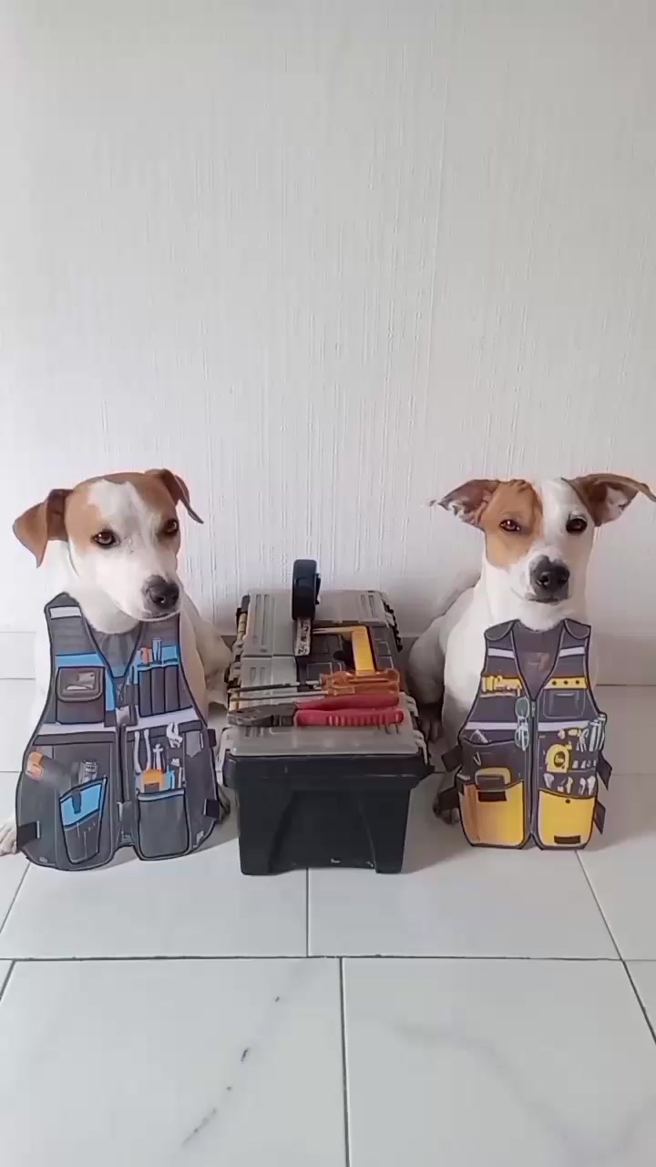 @BRUNO Y MAILO JACKRUSSEL