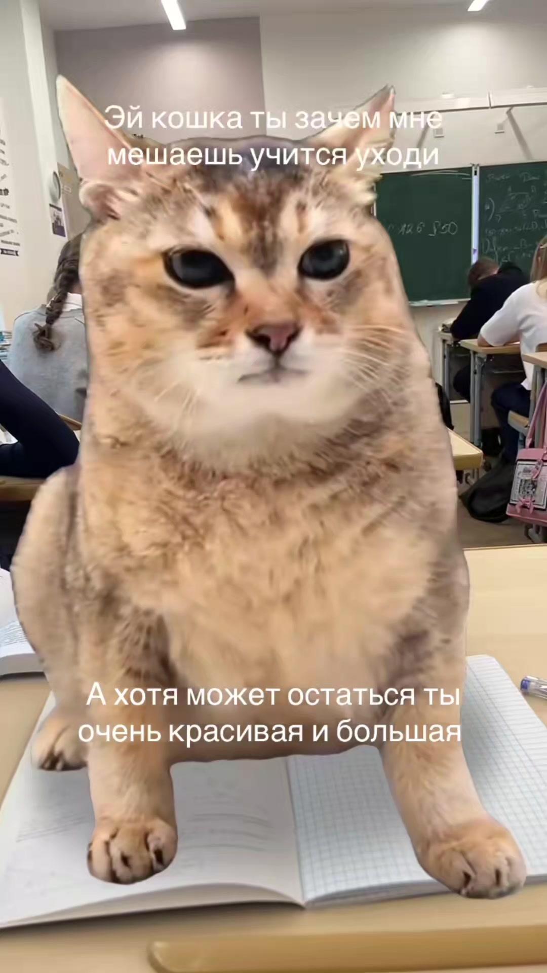 @Александр ALEXPND13