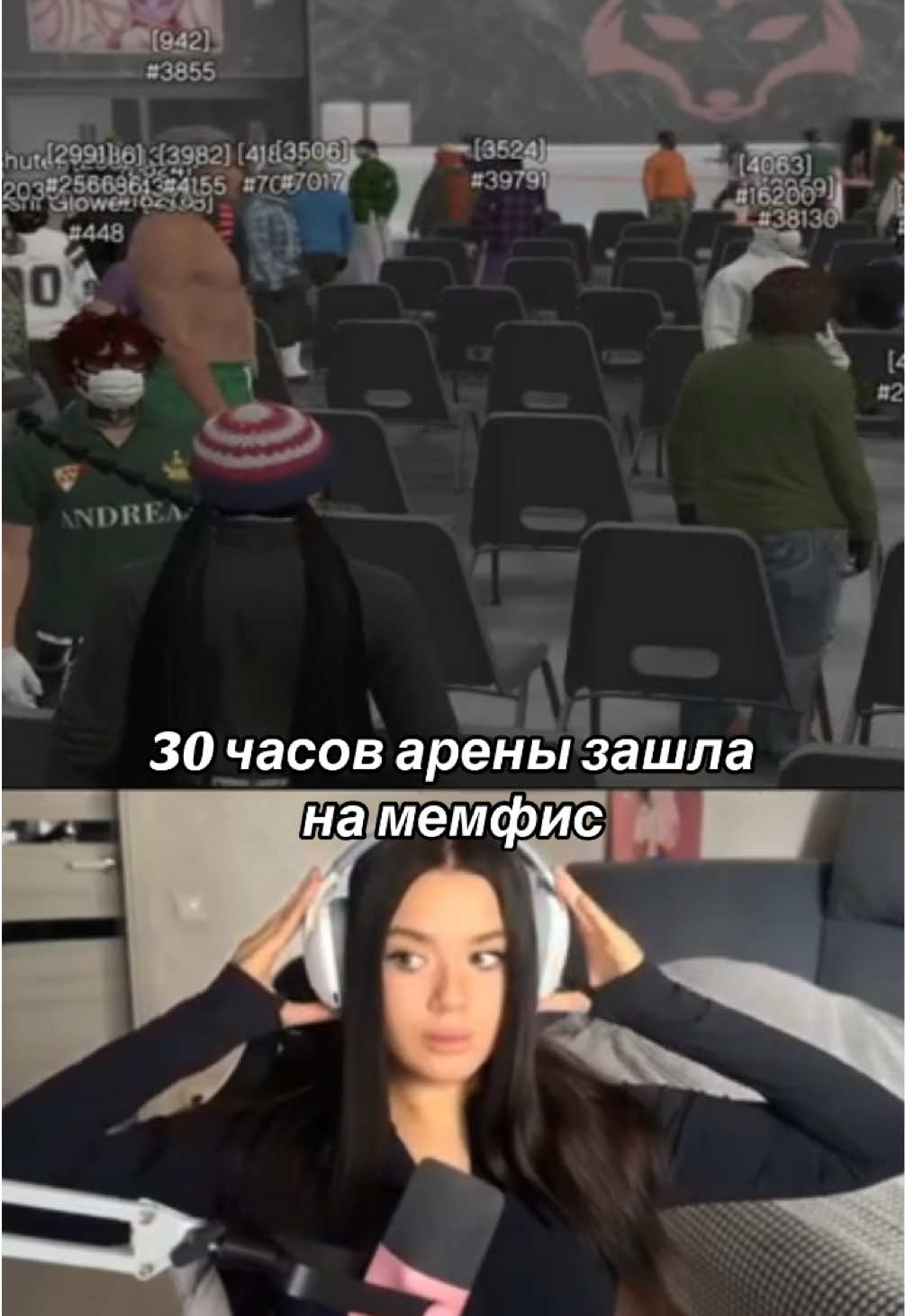 @Harakirita🦢