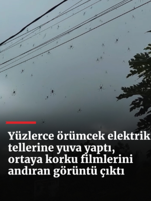 @haberlercom
