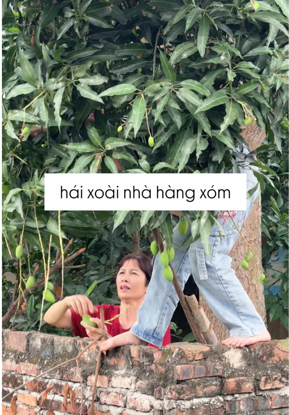 @Nắng Vlog
