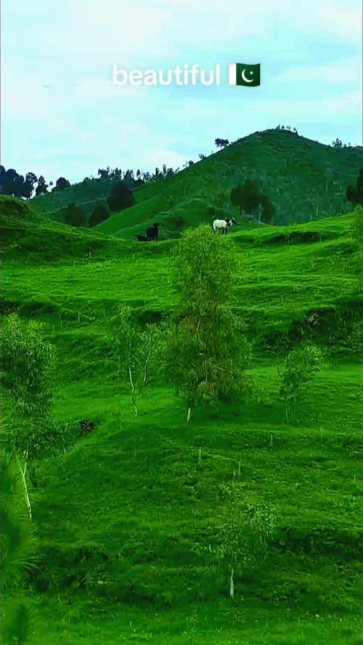 @🌤️SHAMI☀️🌟⭐ 🇵🇰🇧🇭