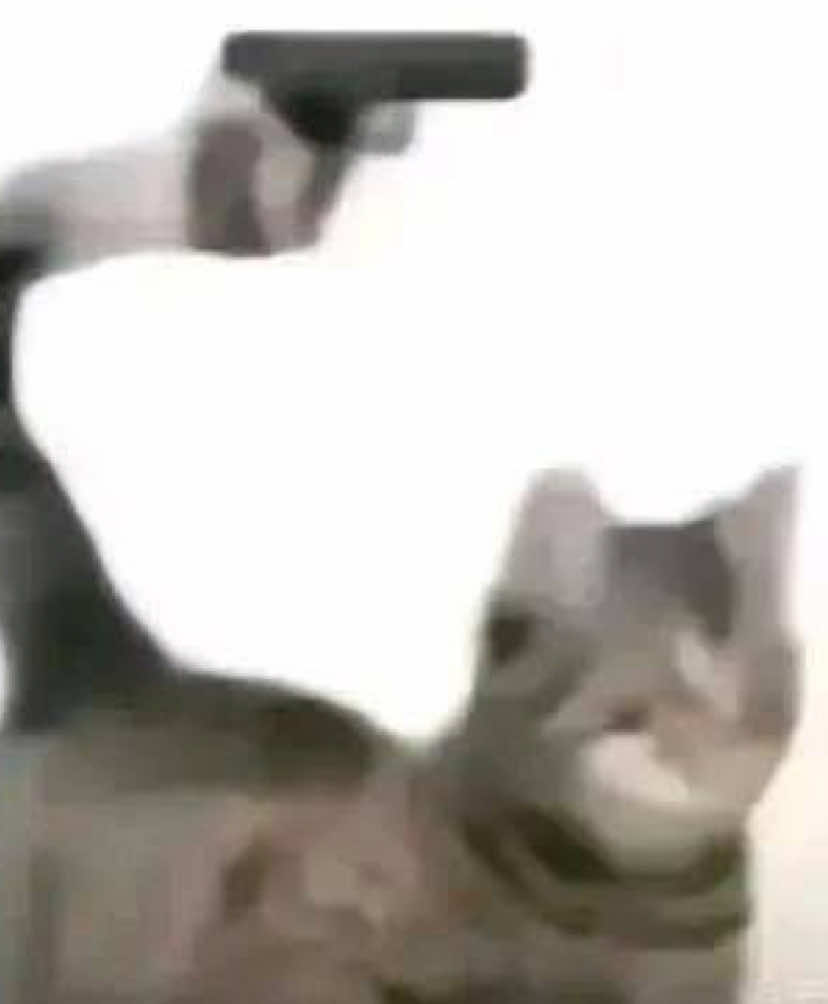 @Phibz