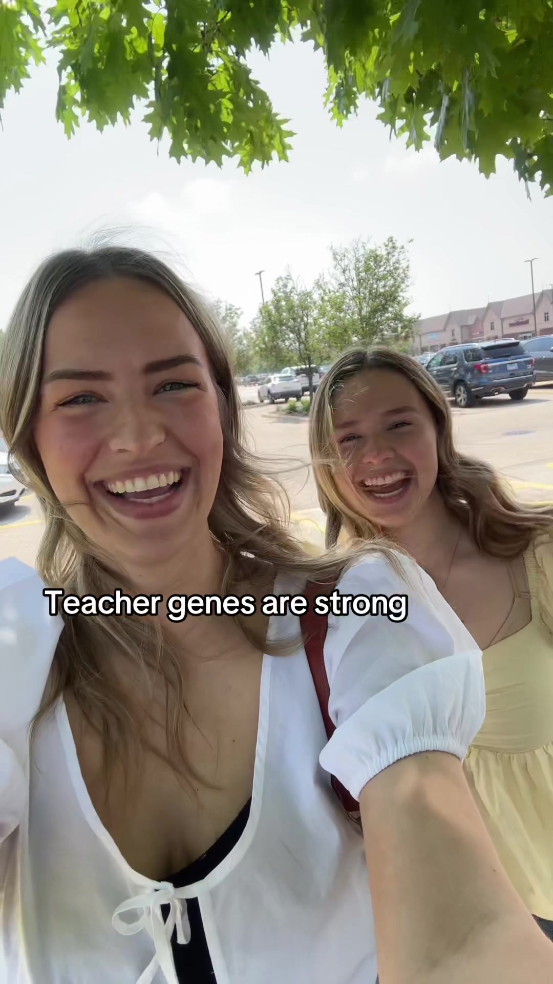 @Ms k