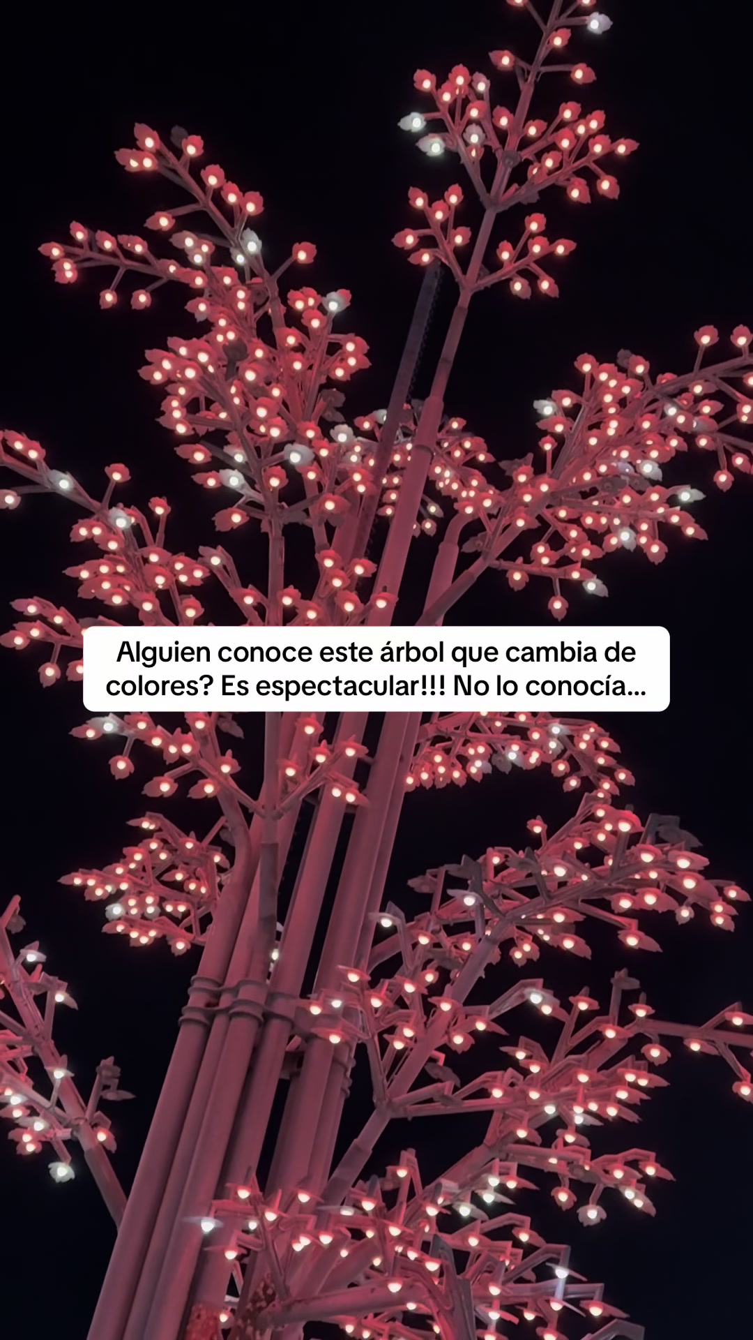 @Pilo | comoyoveoelmundo