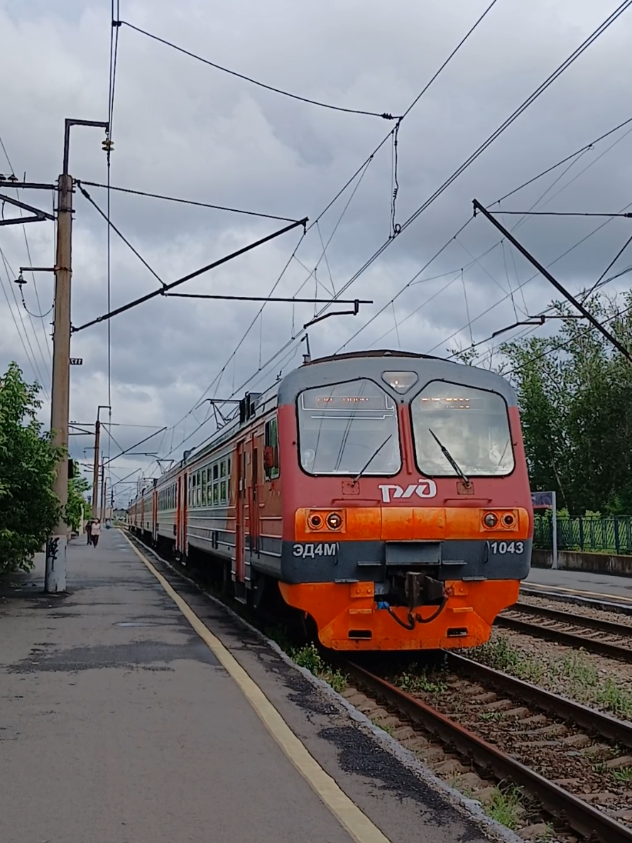 @Михалыч
