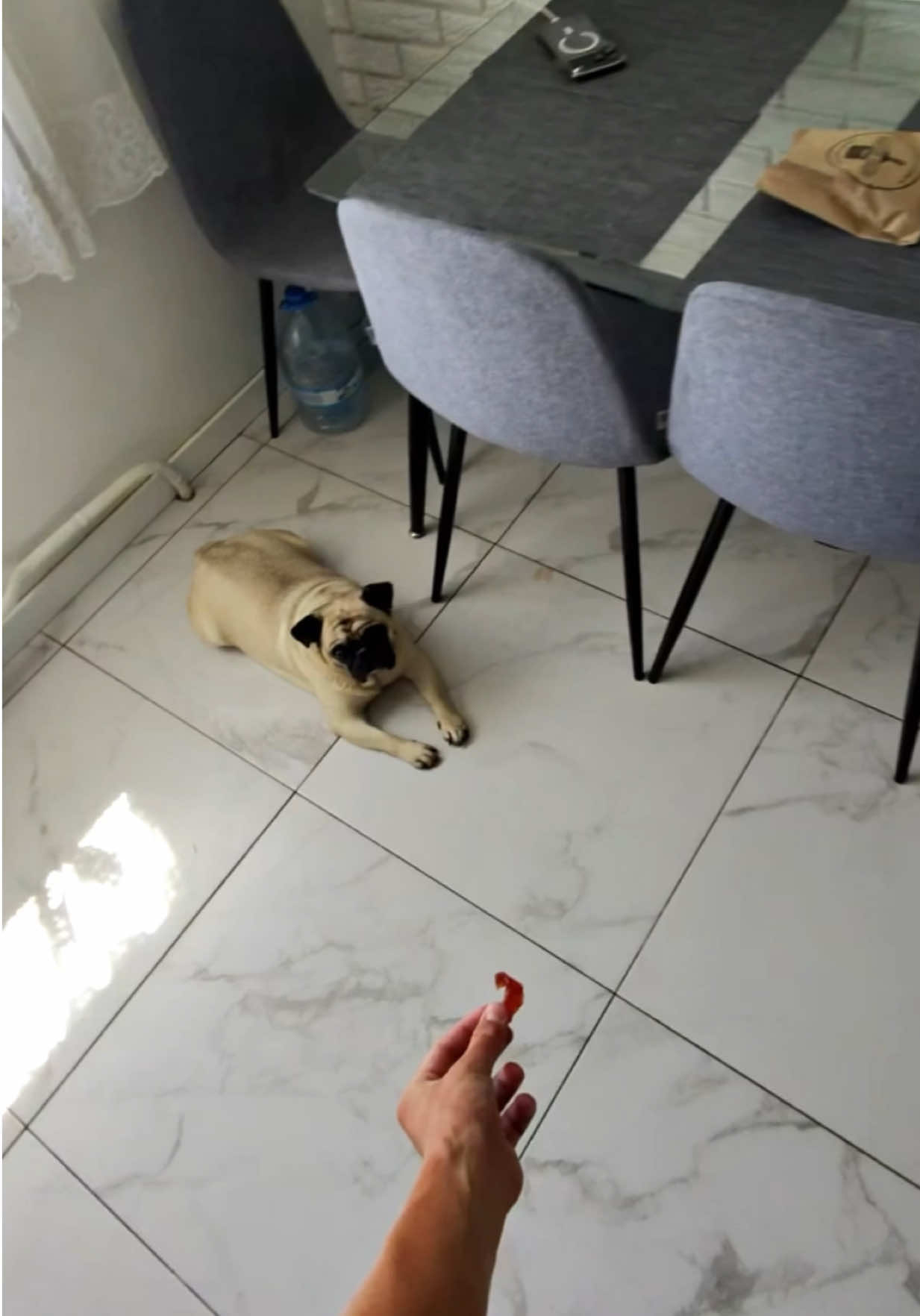 @🐈Котик⚽️