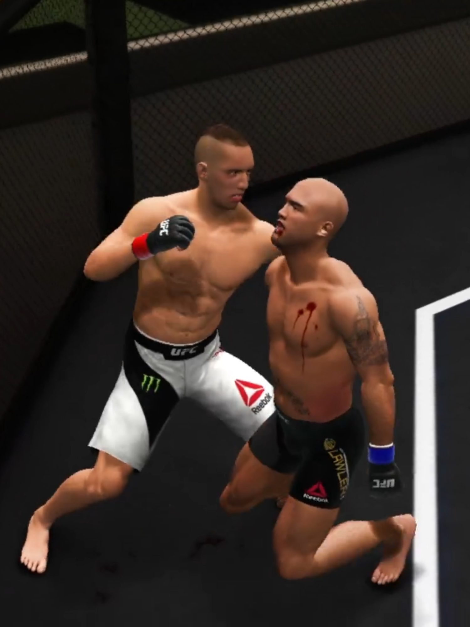 @Lobo Mma