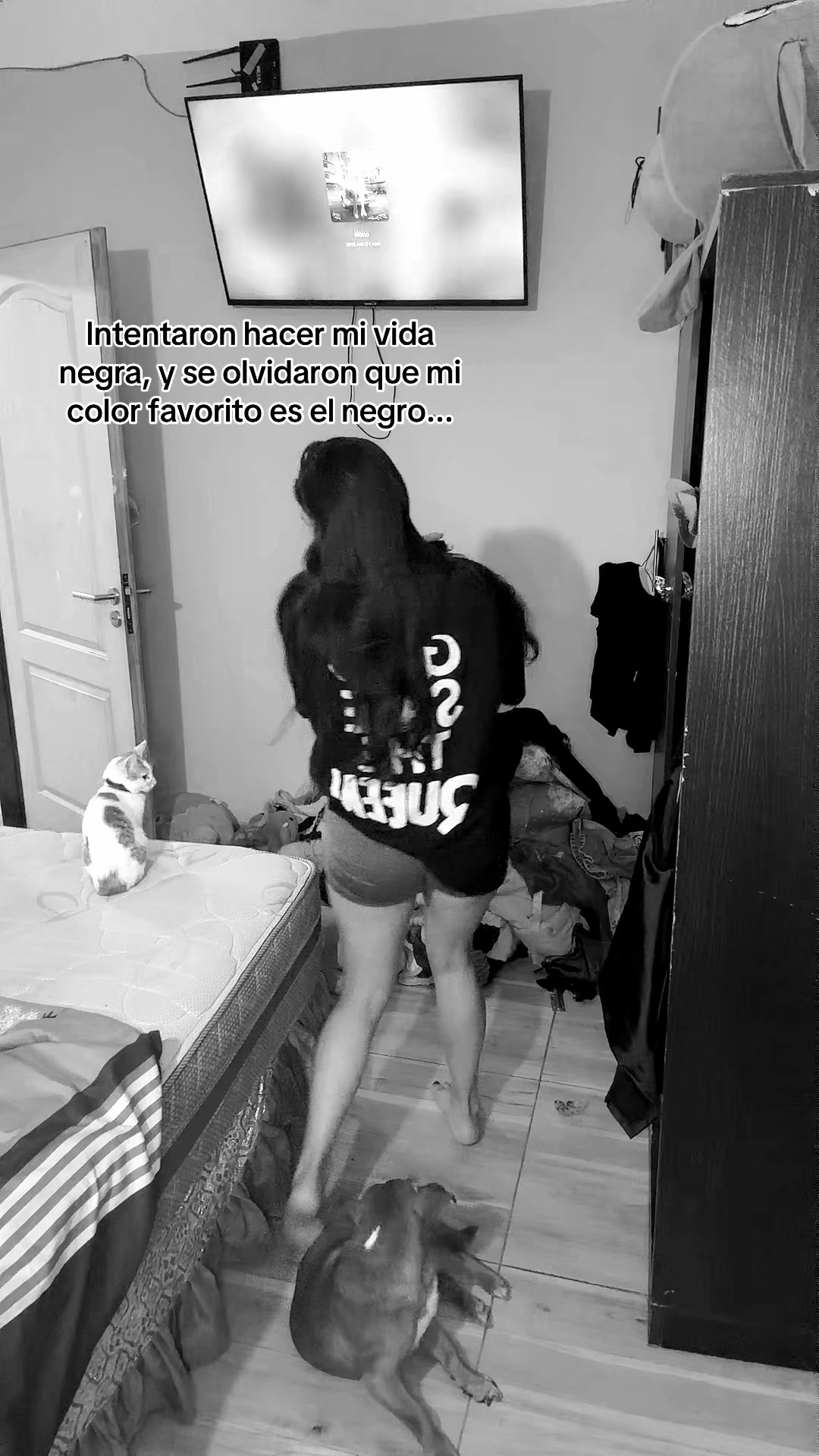 @FIO🪼