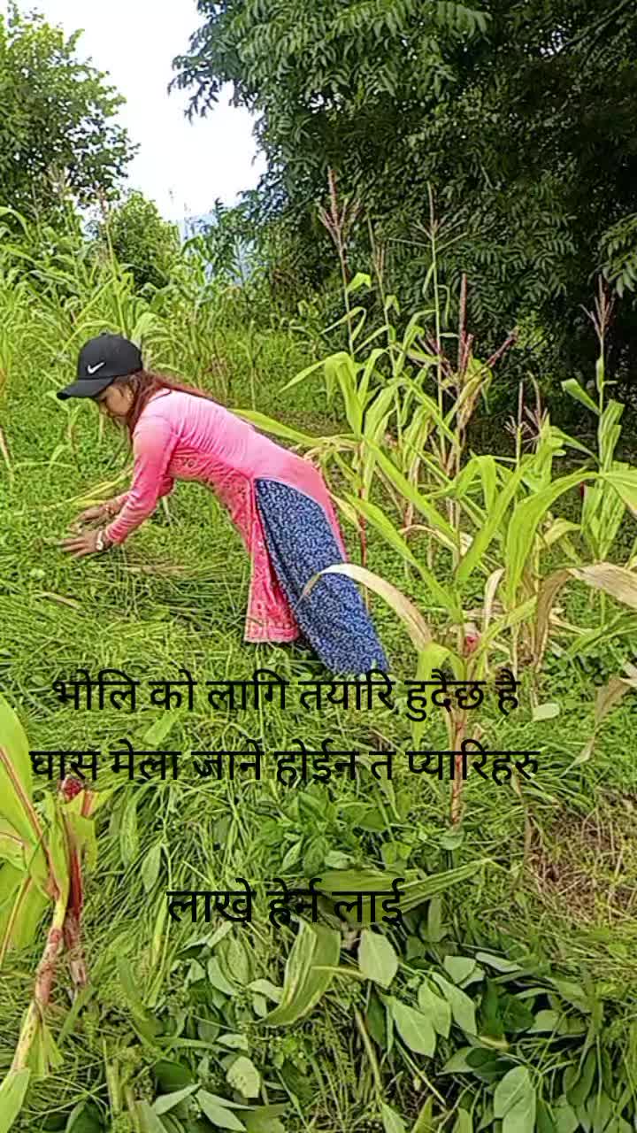 @Magarni fuchai sanu salyanni