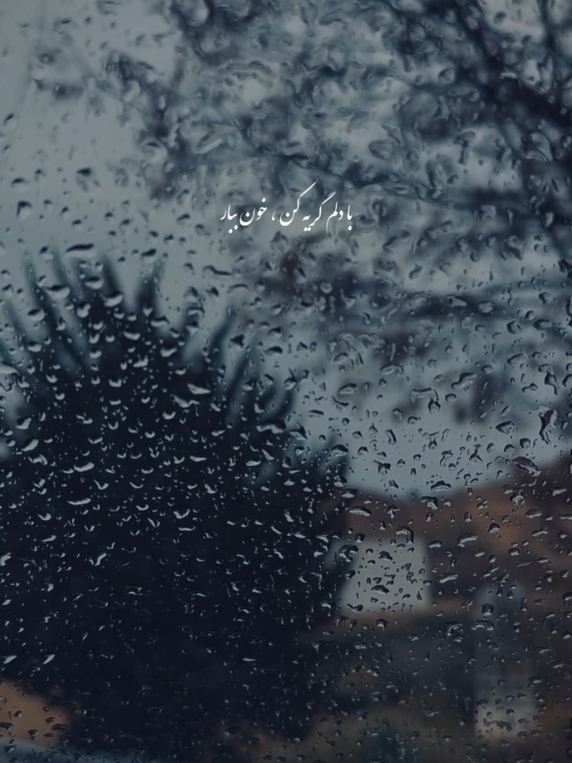 @clip_story