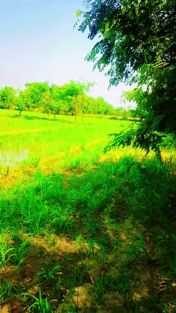 @sohailpanwar