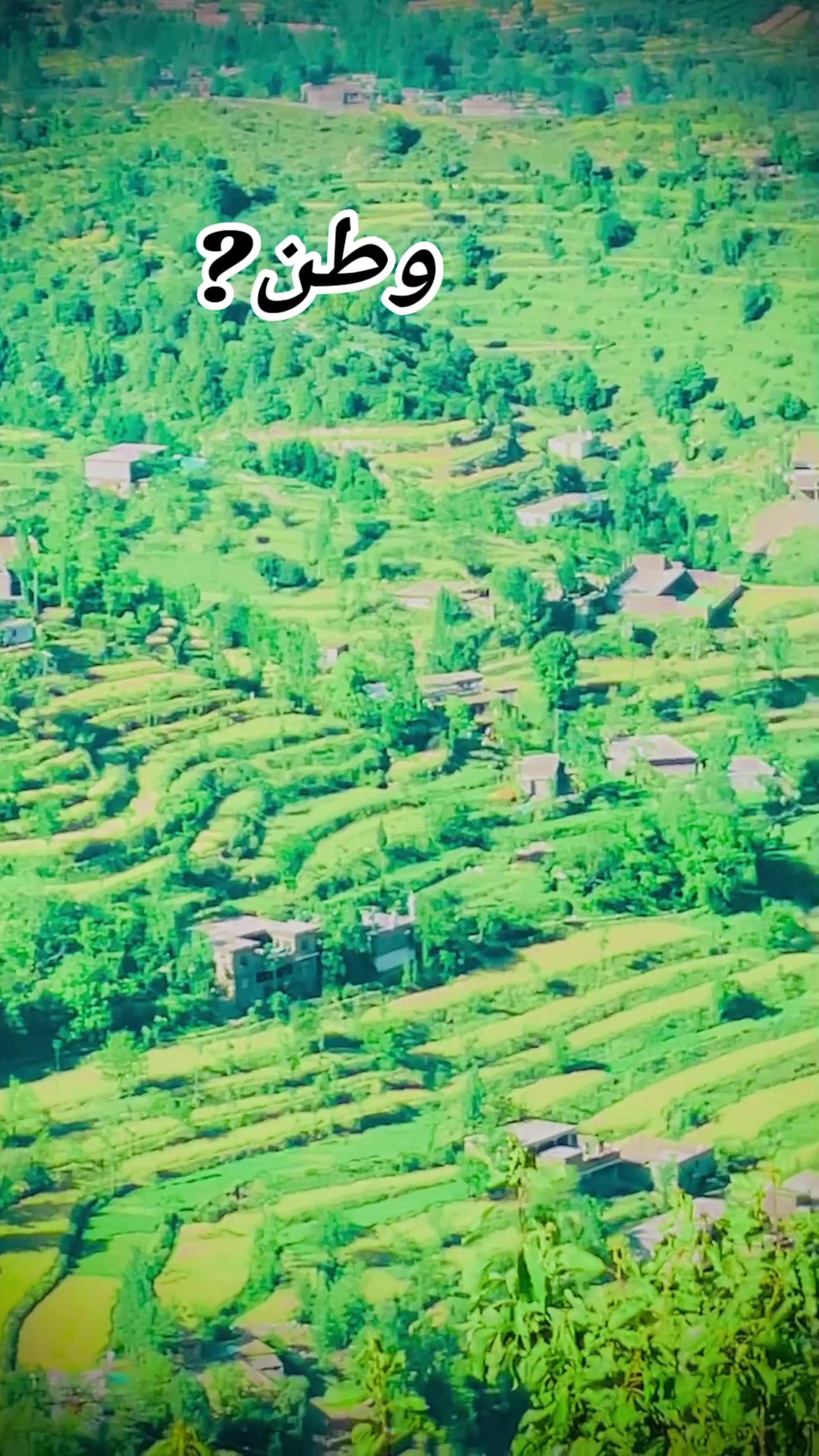 @🌲غر سنے 🌲