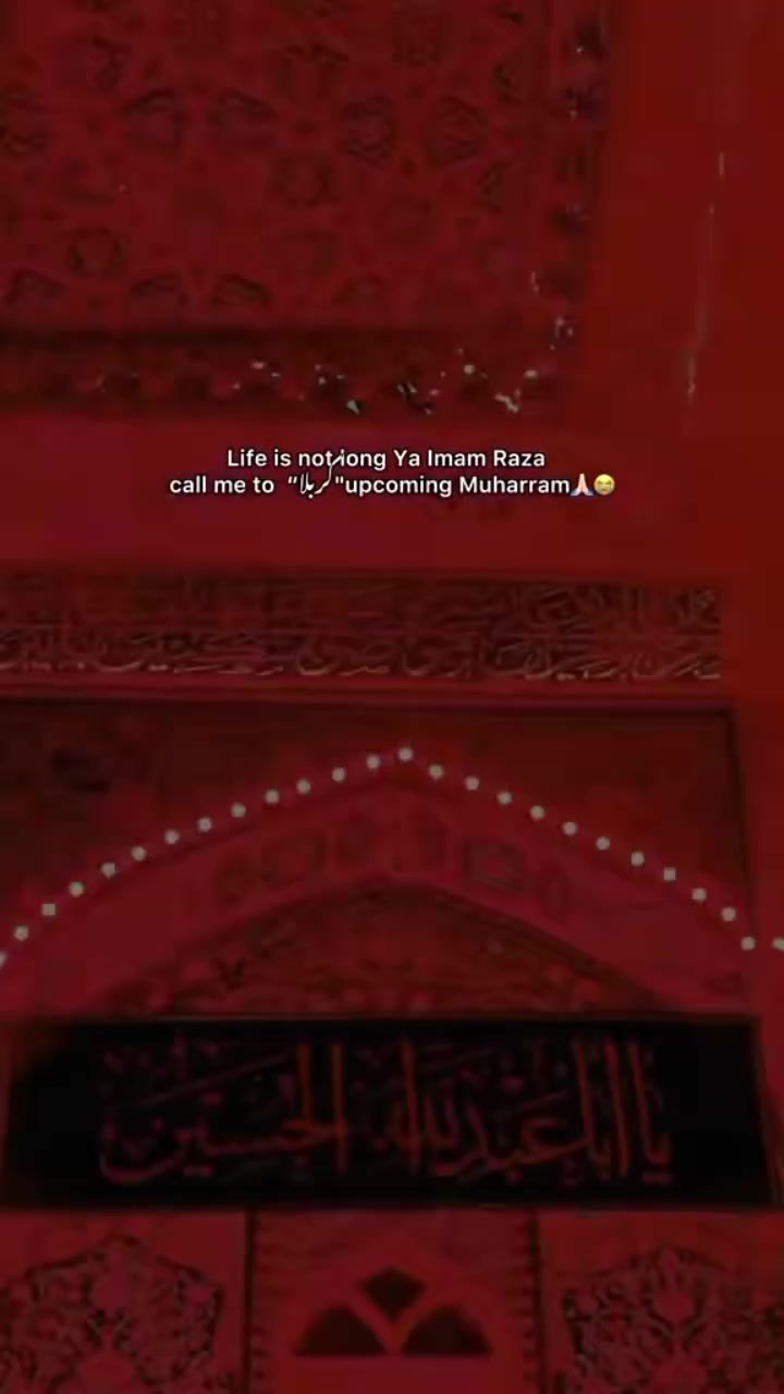 @kaneez e zehra