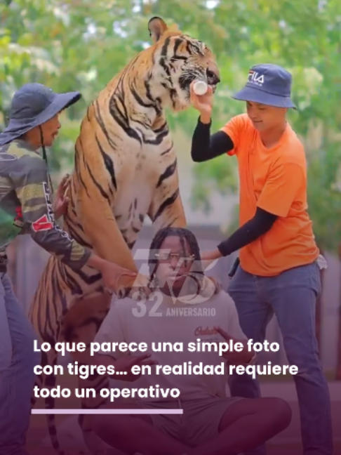 @TN5 Telenoticias