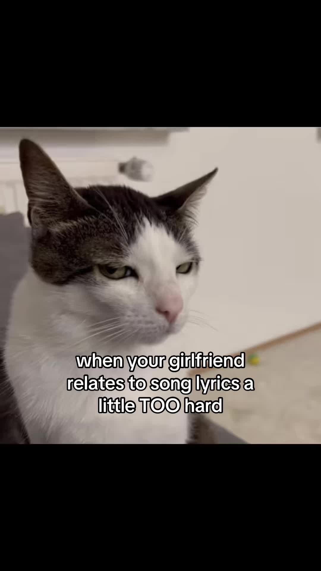@meowconcept