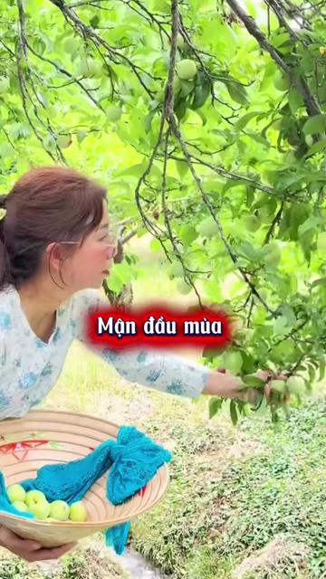 @My Oda 🇻🇳🇯🇵