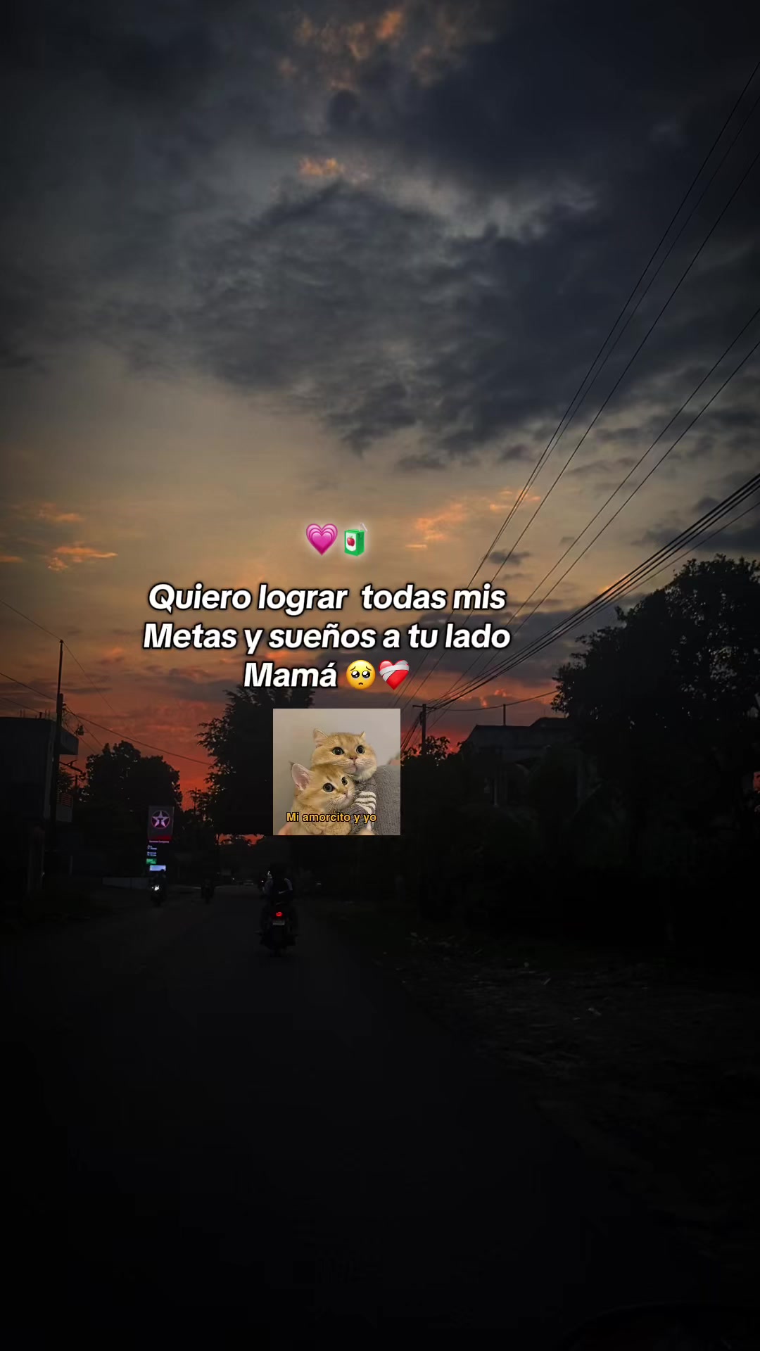 @@_Jary_🍁