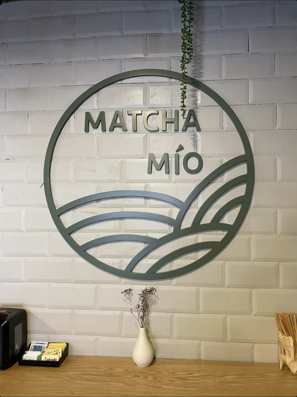 @maeowhateva