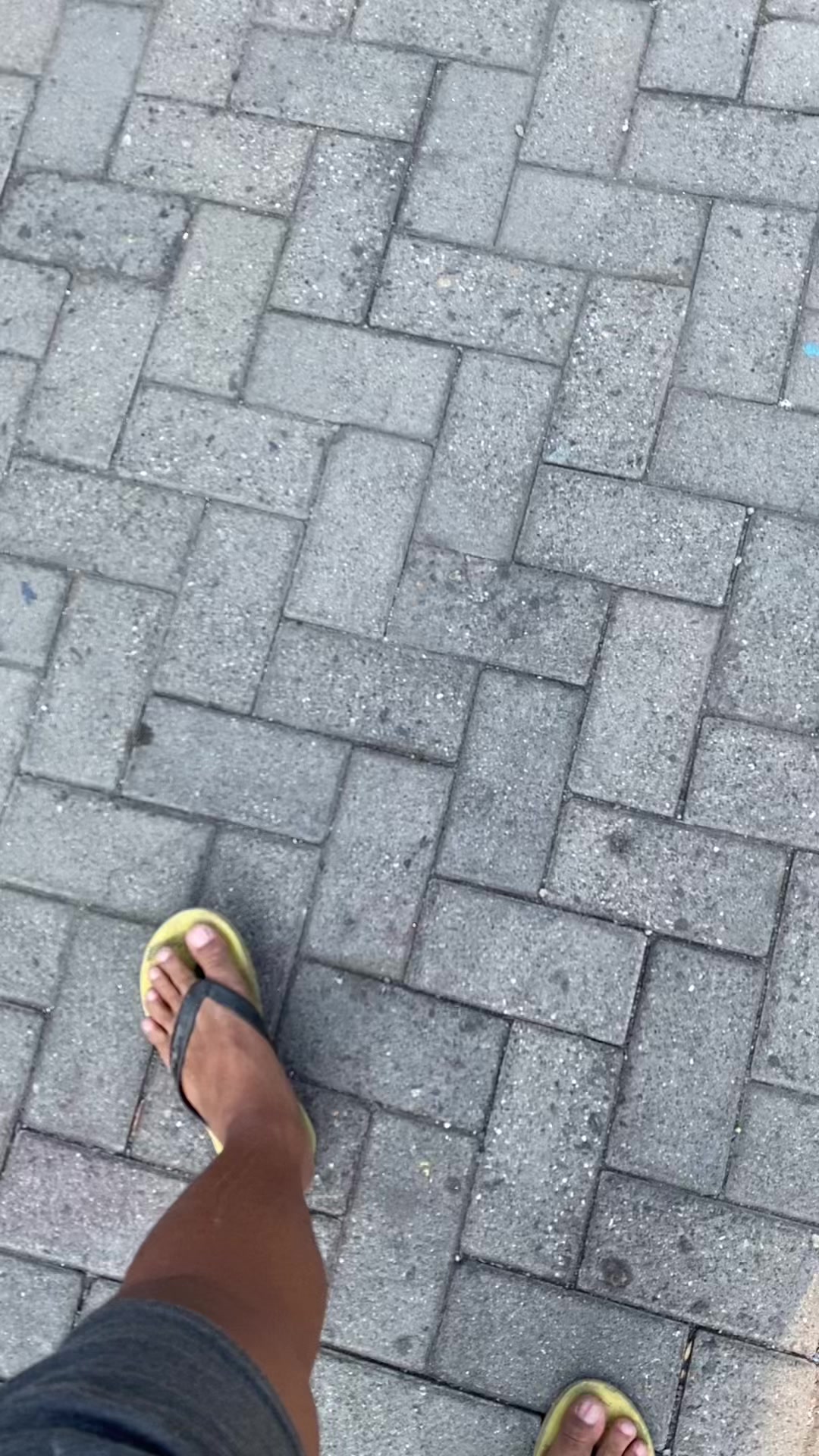 @Yogi Tri