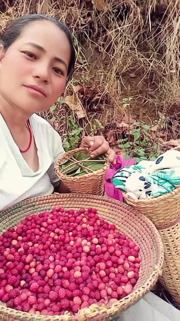 @Tulsi Darlami