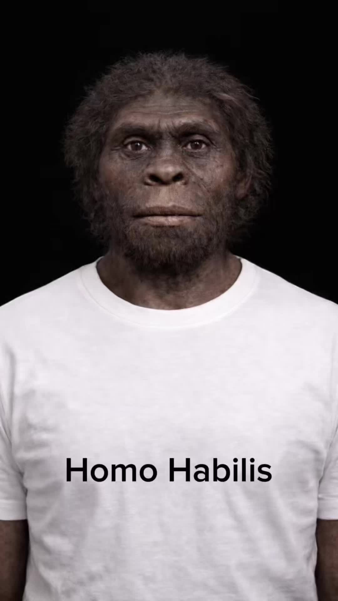 @Historyai