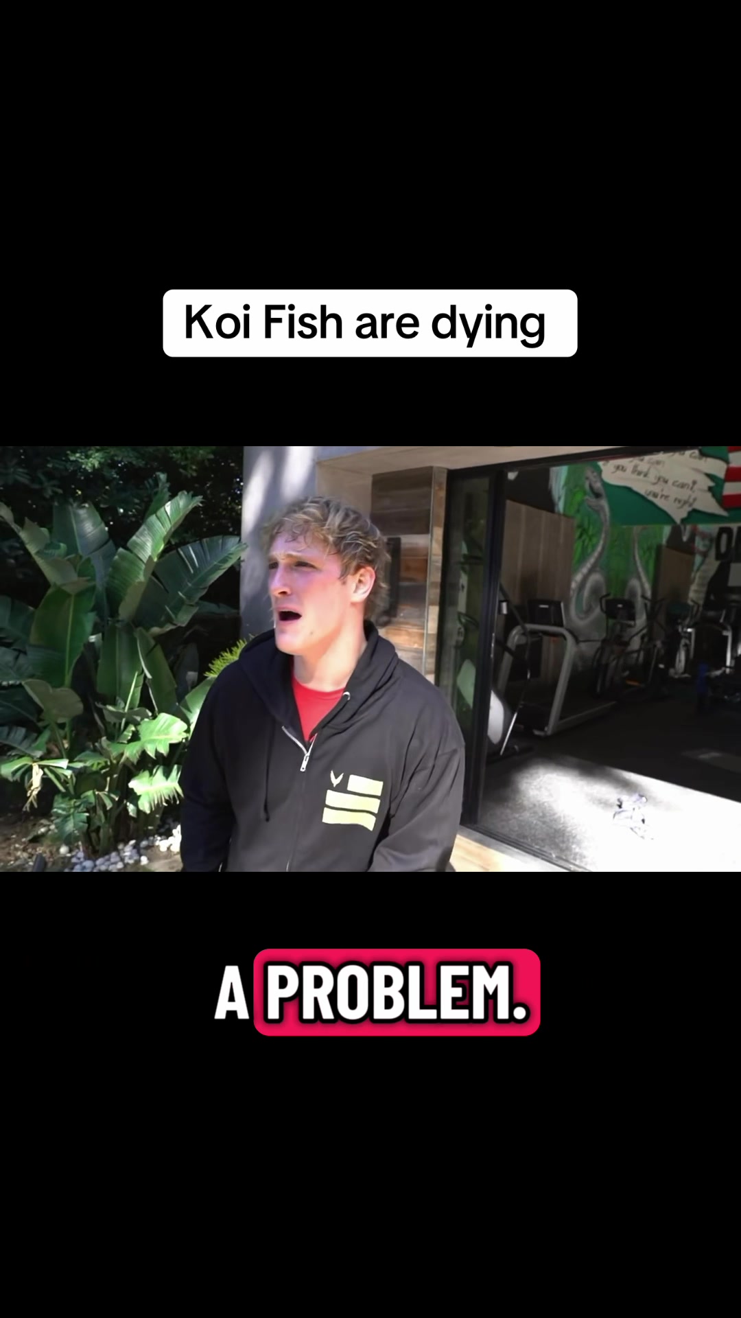 @Logan Paul