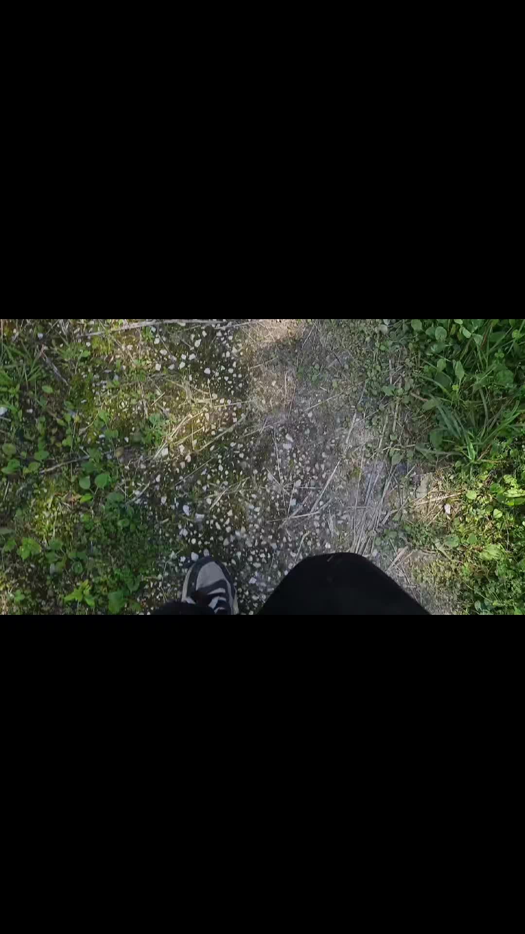 @rxzⁿtem/ tw1ksi2