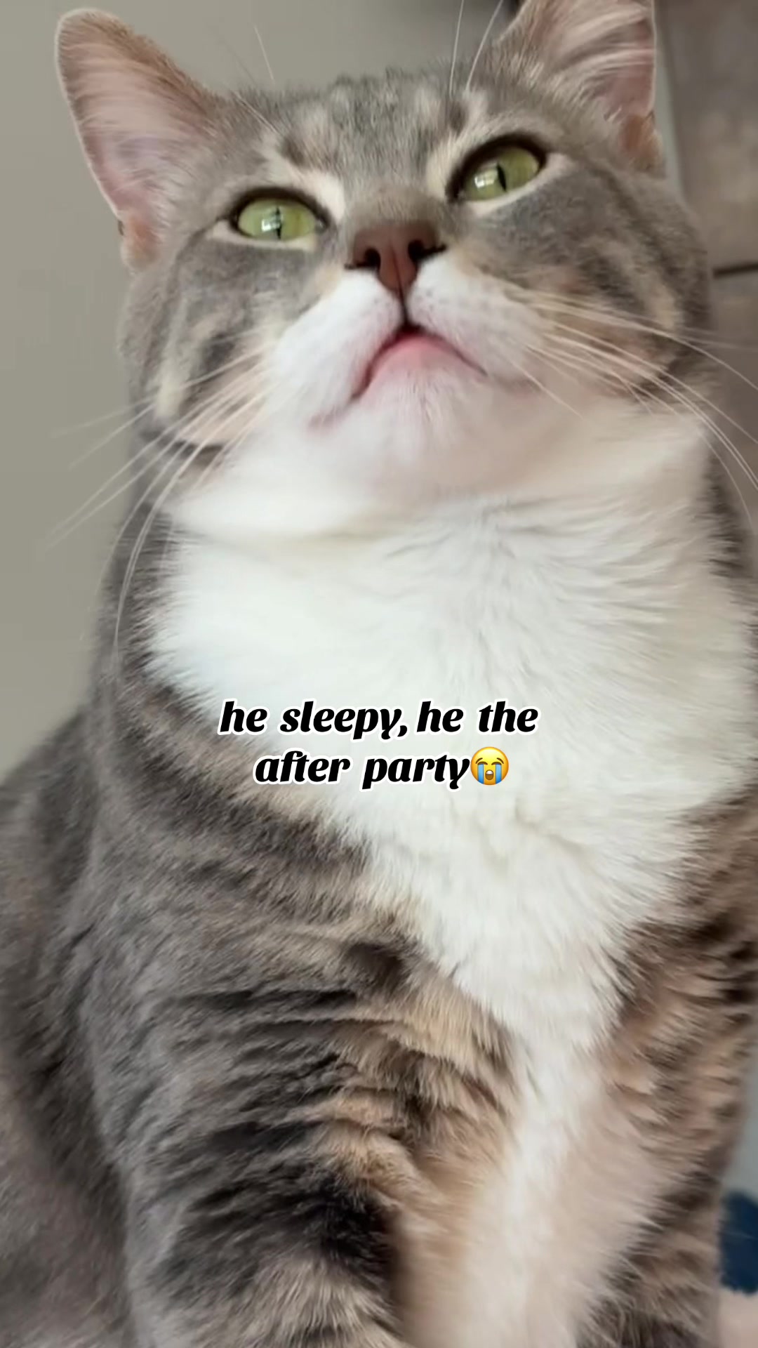 @KK