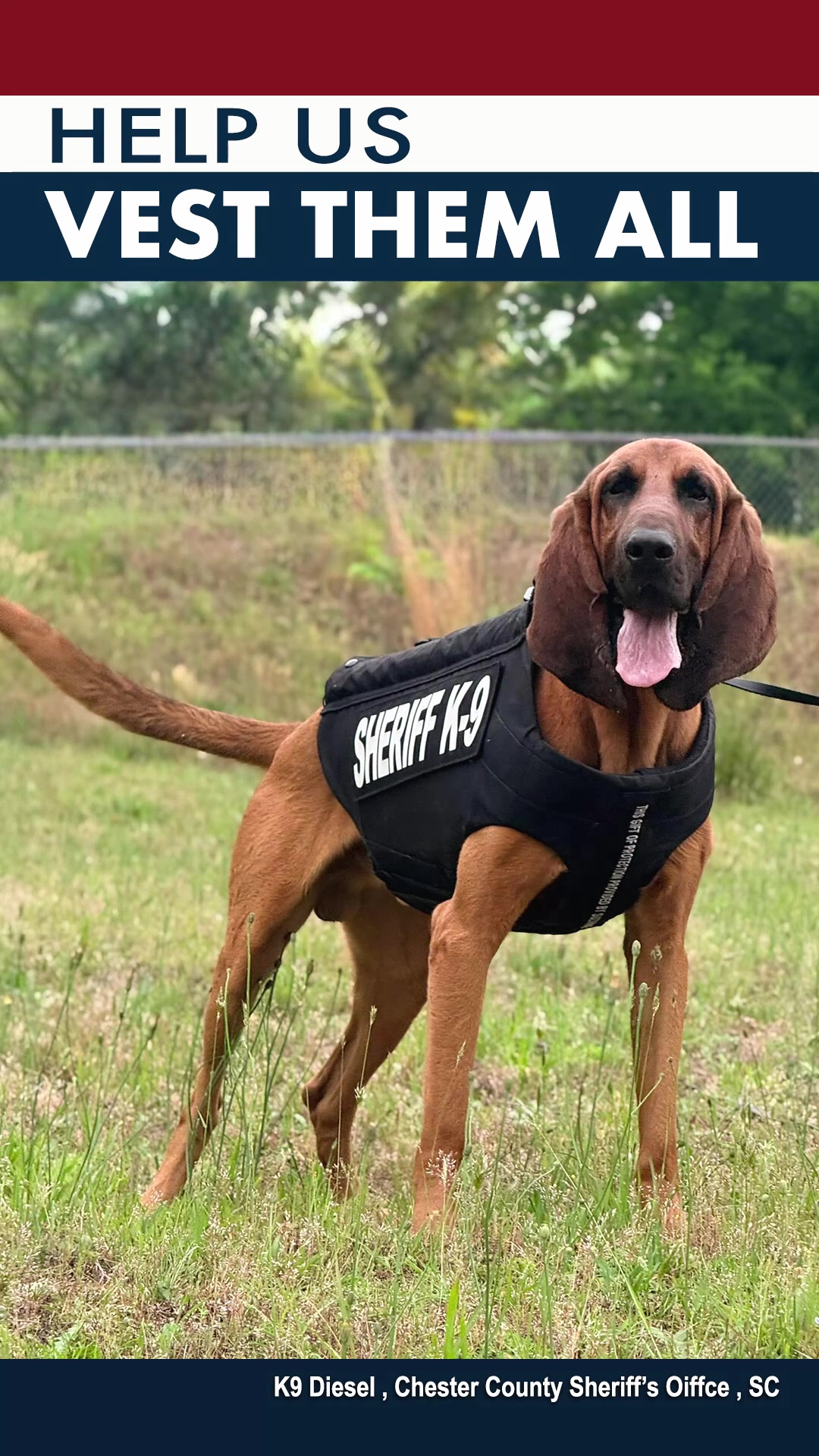 @Vested Interest in K9s, Inc.