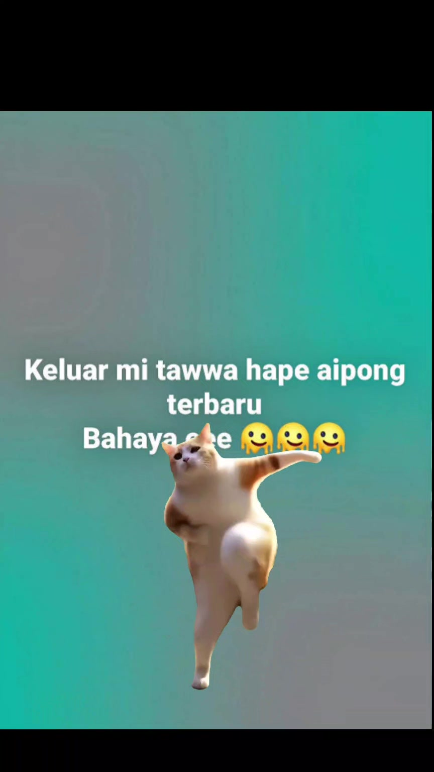 @J 🐬