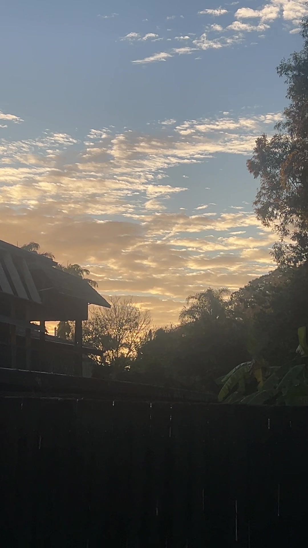 @scorpsun