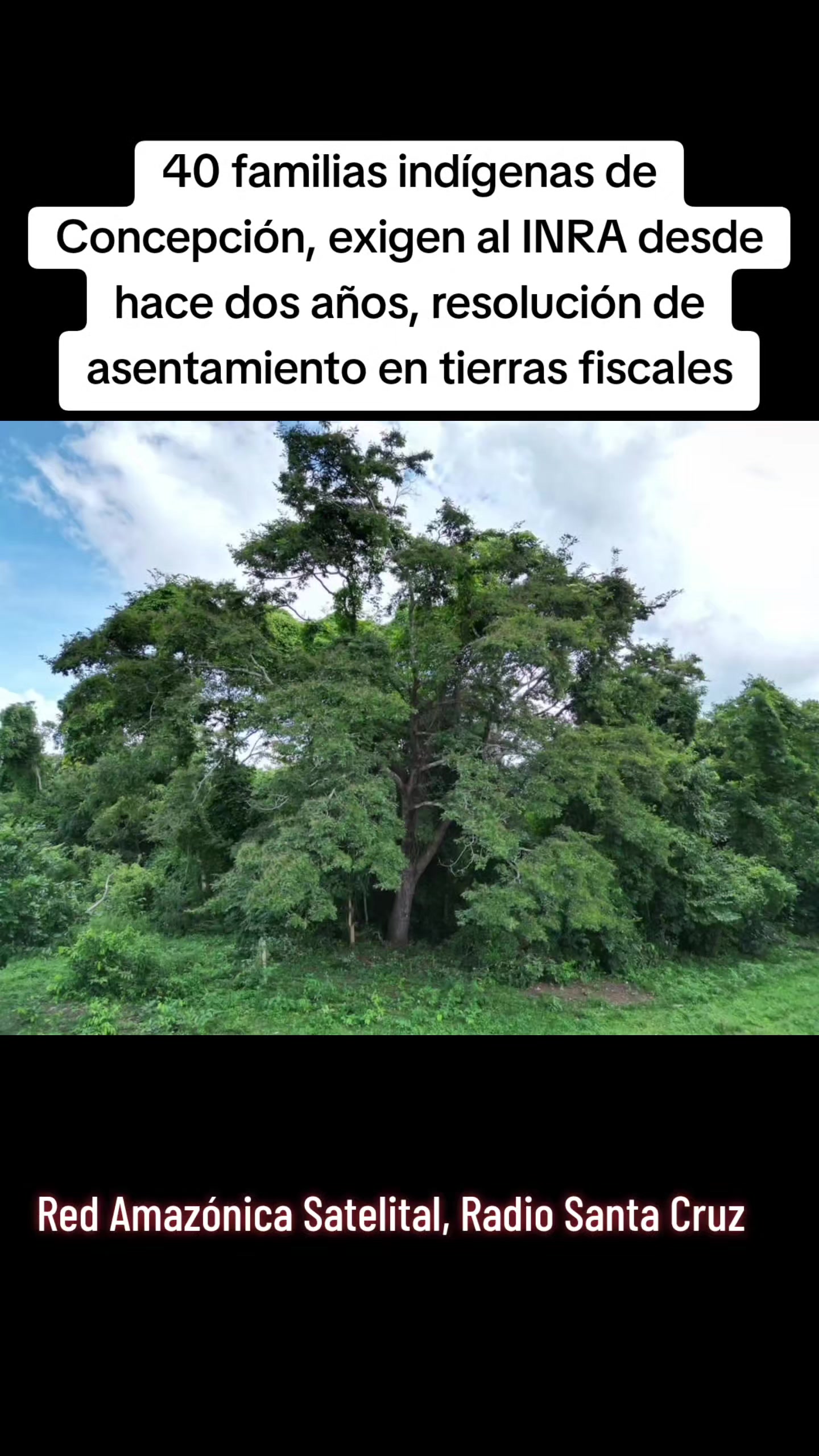 @Jorge Huanca Dorado