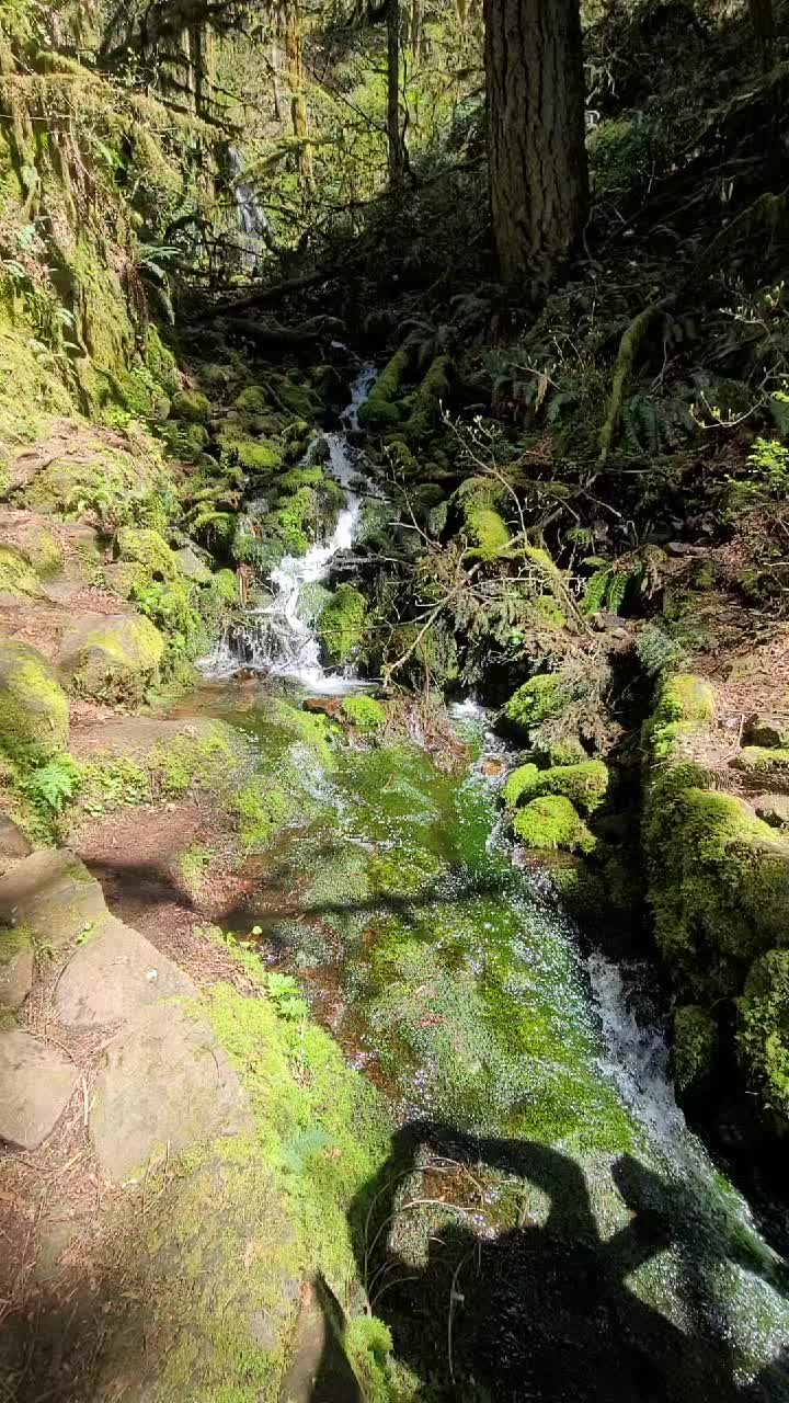 @Lindz loves nature