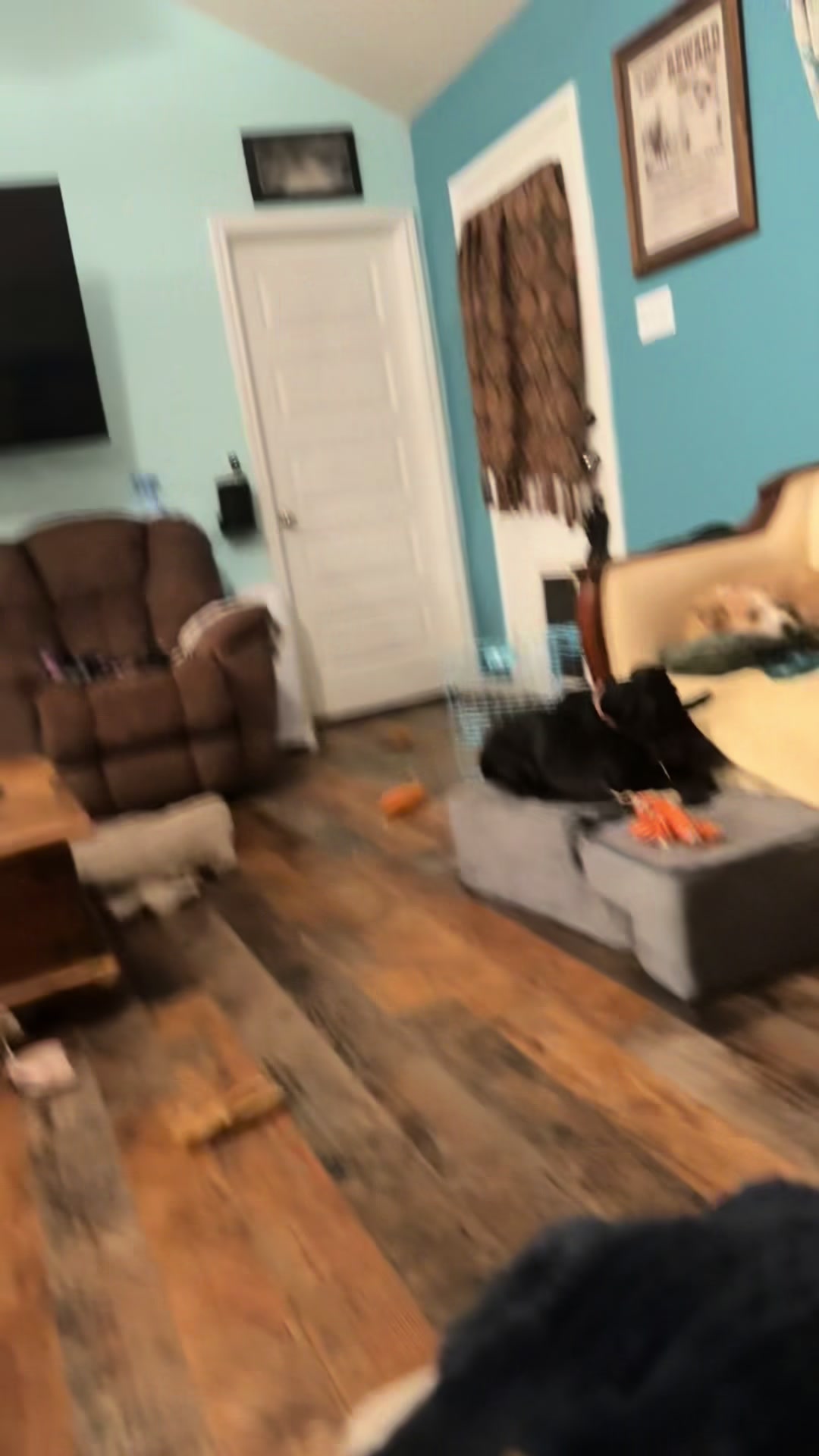 @ozzythedoxy