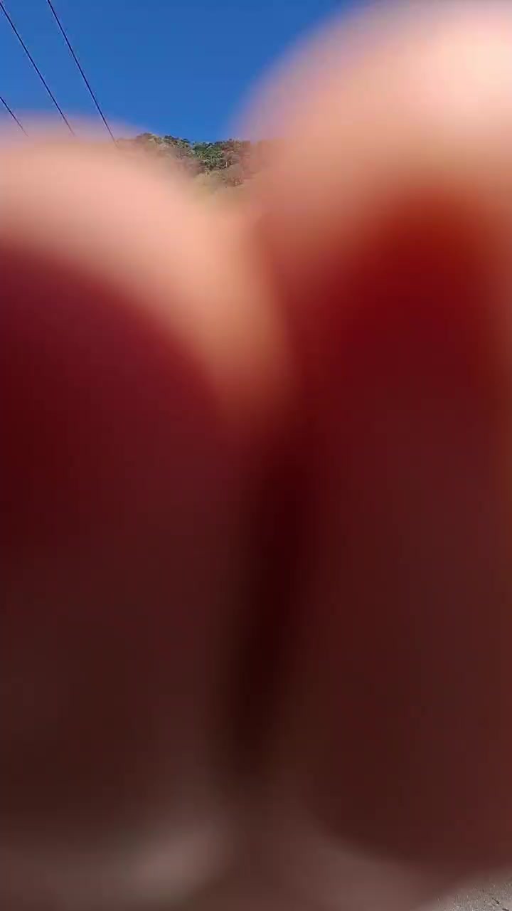 @Sintatarigan