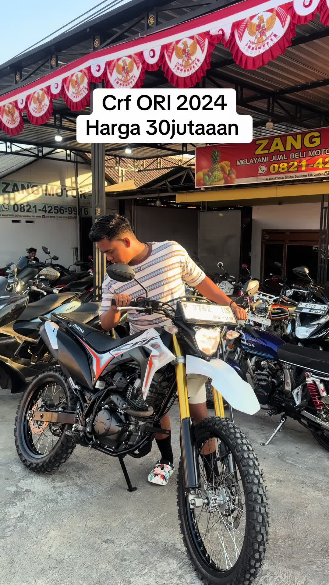 @Zang Motor