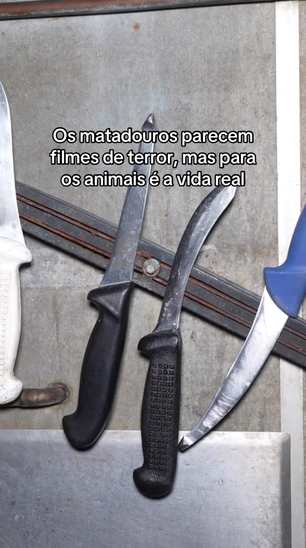 @Carne &eacute; cruel