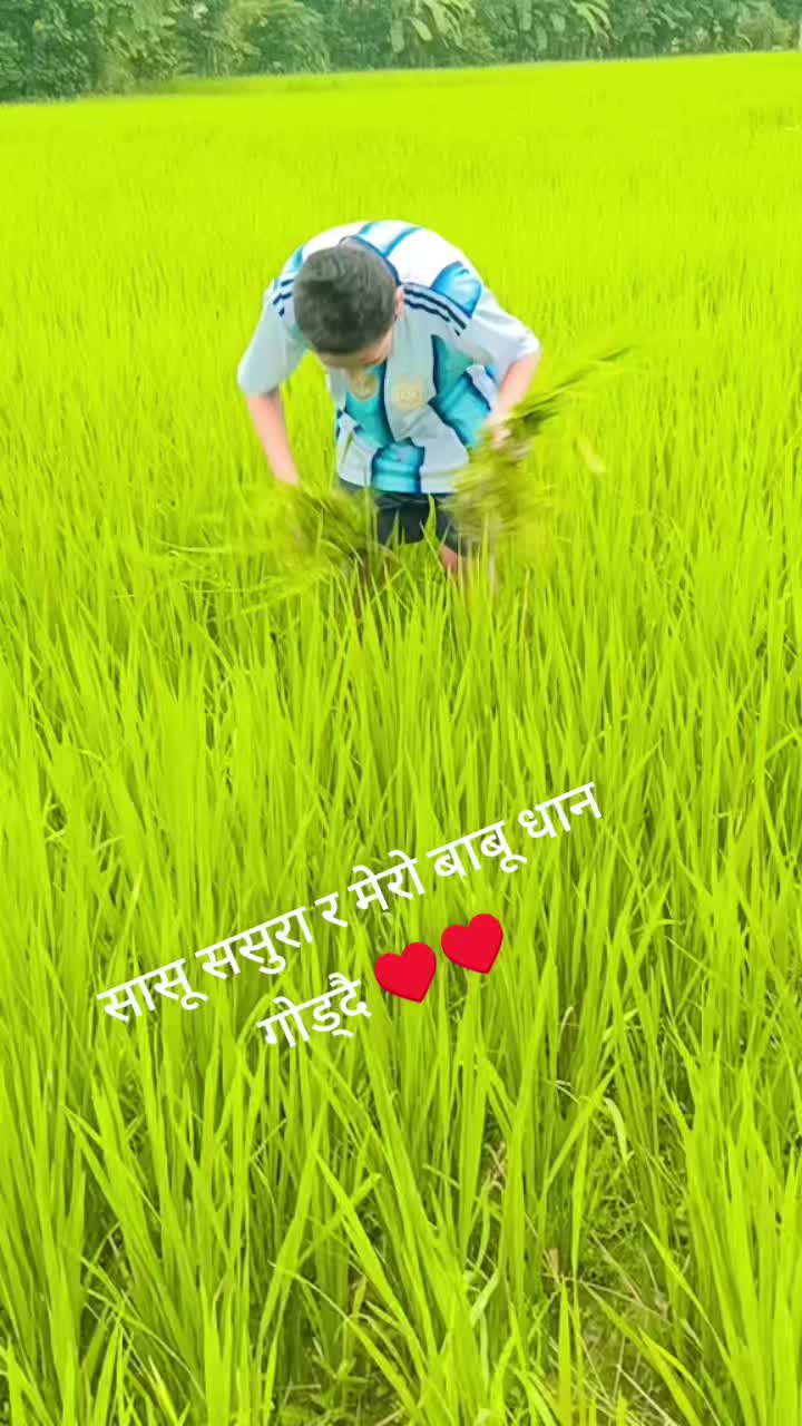 @lalita pant