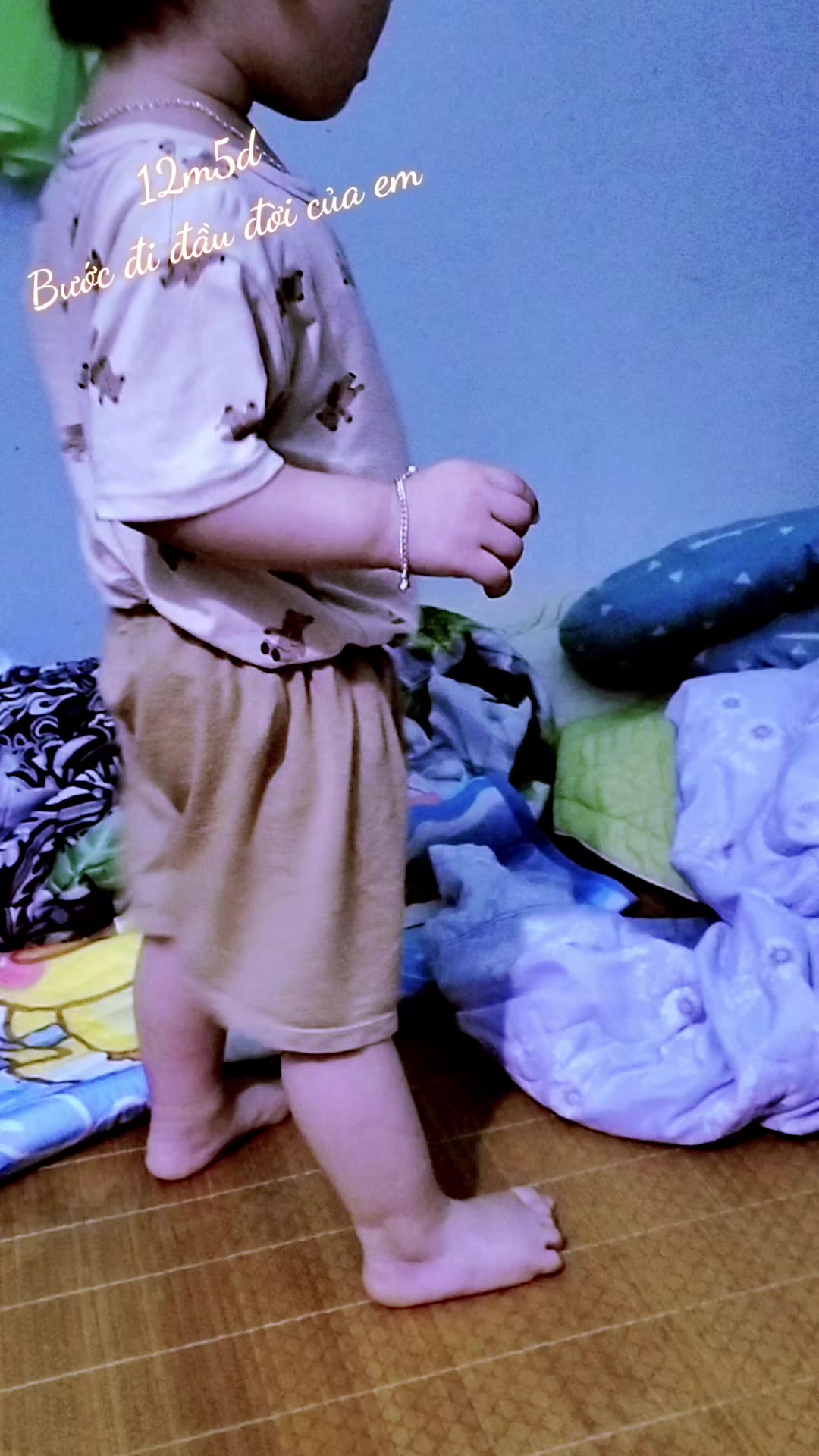 @❤️hoa núi rừng ❤️