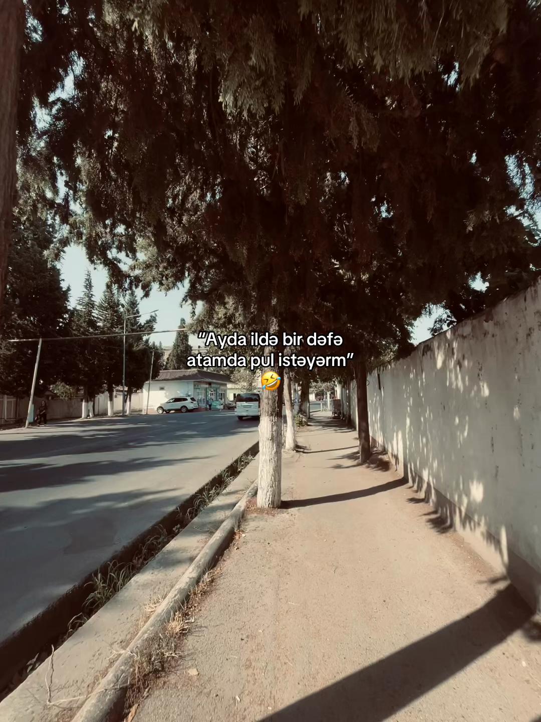 @Maqaa🇹🇷