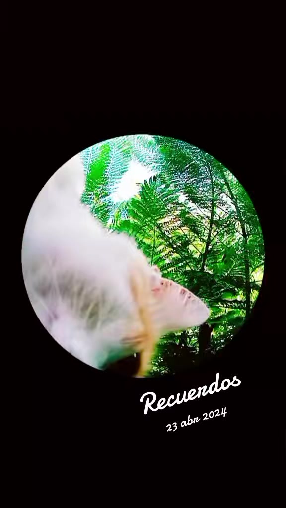 @👑Liizeth Hern&aacute;ndez👑